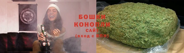 ГАЛЛЮЦИНОГЕННЫЕ ГРИБЫ Богданович