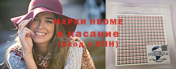 ГАЛЛЮЦИНОГЕННЫЕ ГРИБЫ Богданович