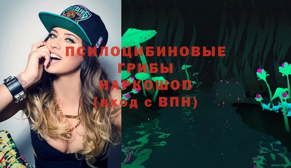 скорость Богородск