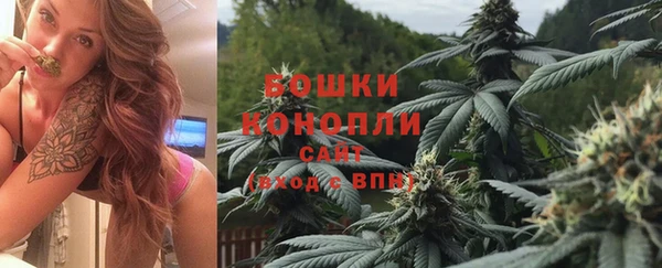 ГАЛЛЮЦИНОГЕННЫЕ ГРИБЫ Богданович
