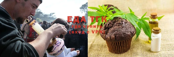 ГАЛЛЮЦИНОГЕННЫЕ ГРИБЫ Богданович